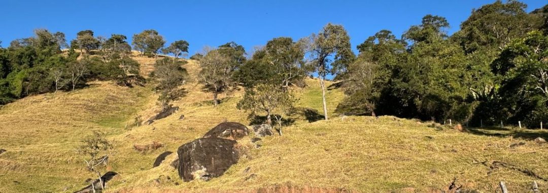 terreno-rural-de-10-alqueires-na-serra-da-mantiqueira-vista-panoramica-e-nascente-corrego-do-bom-jesus-mg (14)