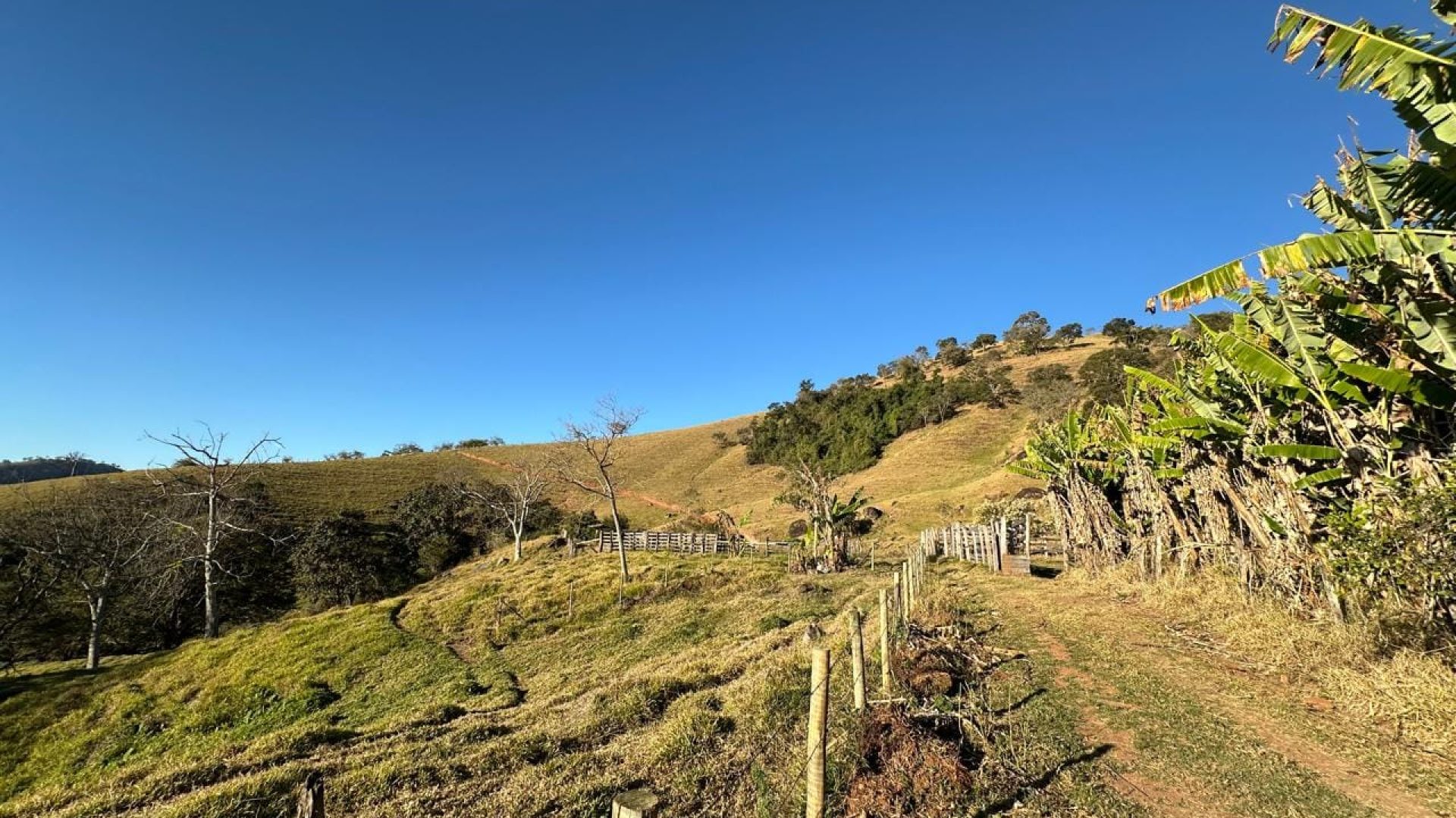 terreno-rural-de-10-alqueires-na-serra-da-mantiqueira-vista-panoramica-e-nascente-corrego-do-bom-jesus-mg (15)
