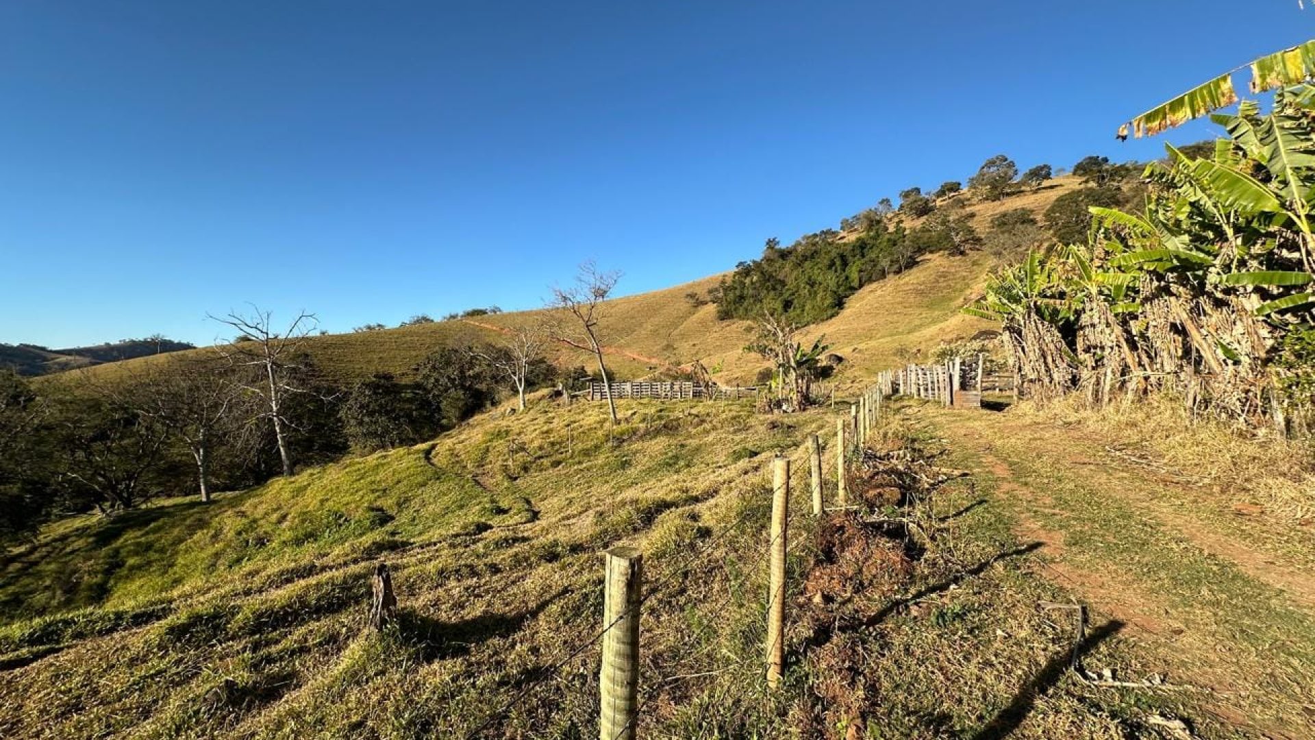 terreno-rural-de-10-alqueires-na-serra-da-mantiqueira-vista-panoramica-e-nascente-corrego-do-bom-jesus-mg (16)