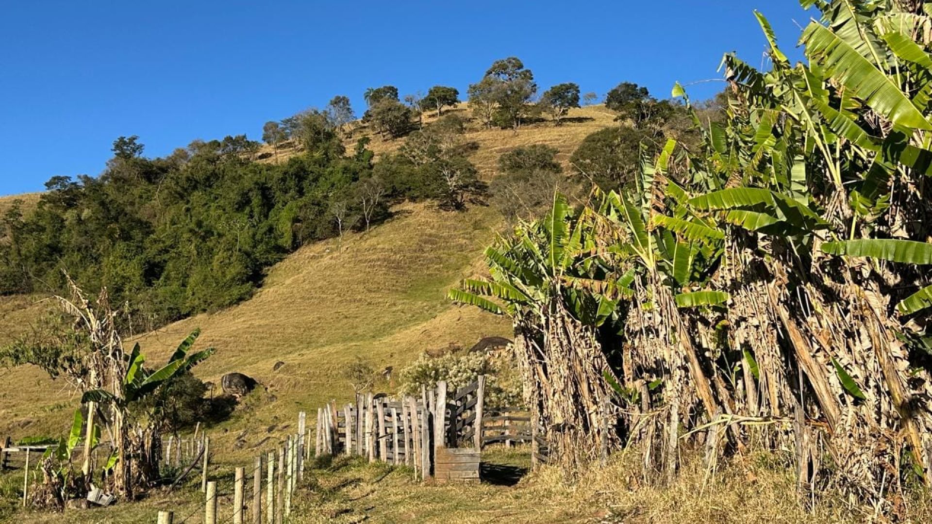 terreno-rural-de-10-alqueires-na-serra-da-mantiqueira-vista-panoramica-e-nascente-corrego-do-bom-jesus-mg (19)