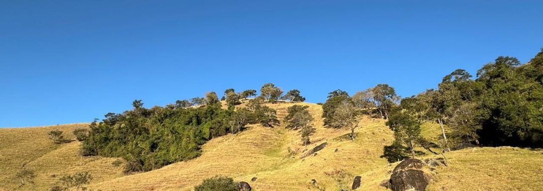 terreno-rural-de-10-alqueires-na-serra-da-mantiqueira-vista-panoramica-e-nascente-corrego-do-bom-jesus-mg (2)