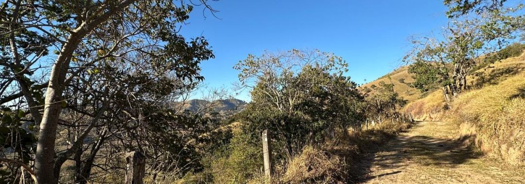 terreno-rural-de-10-alqueires-na-serra-da-mantiqueira-vista-panoramica-e-nascente-corrego-do-bom-jesus-mg (22)