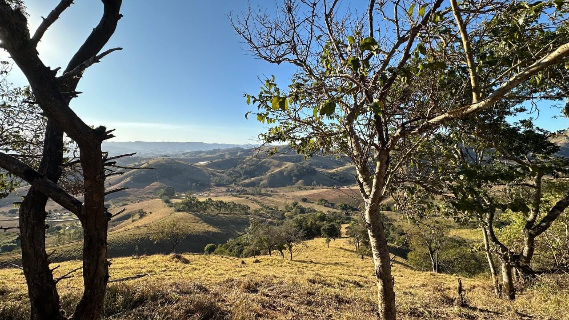 terreno-rural-de-10-alqueires-na-serra-da-mantiqueira-vista-panoramica-e-nascente-corrego-do-bom-jesus-mg (23)