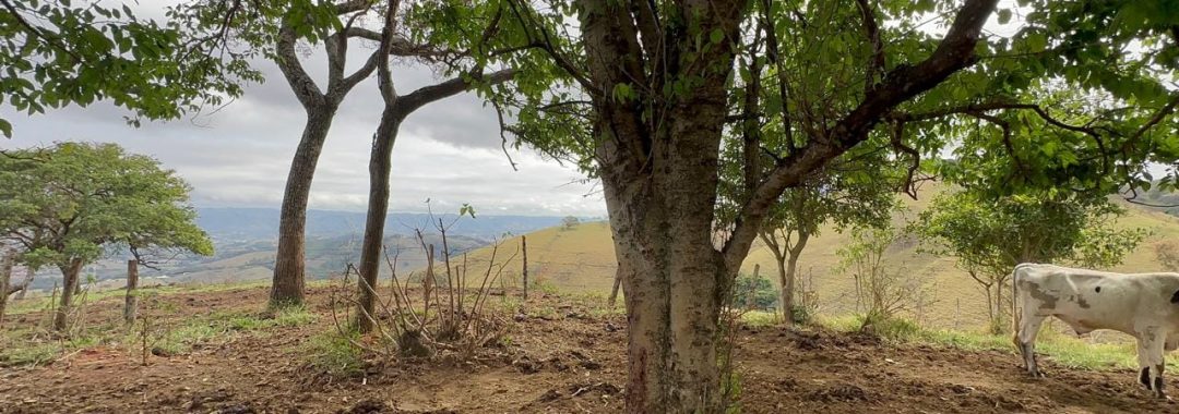 terreno-rural-de-100-000m²-corrego-do-bom-jesus-mg-serra-da-mantiqueira (1)