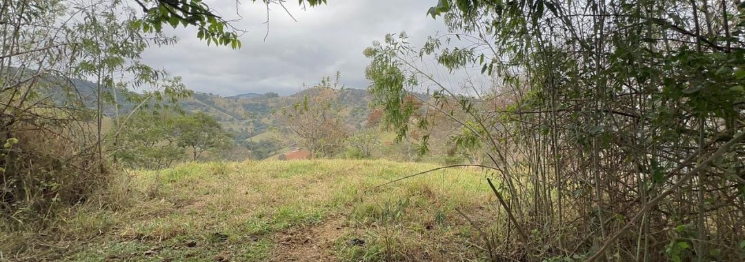 terreno-rural-de-100-000m²-corrego-do-bom-jesus-mg-serra-da-mantiqueira (12)