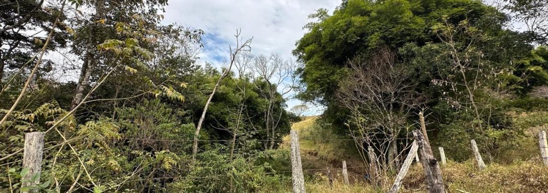 terreno-rural-de-100-000m²-corrego-do-bom-jesus-mg-serra-da-mantiqueira (2)