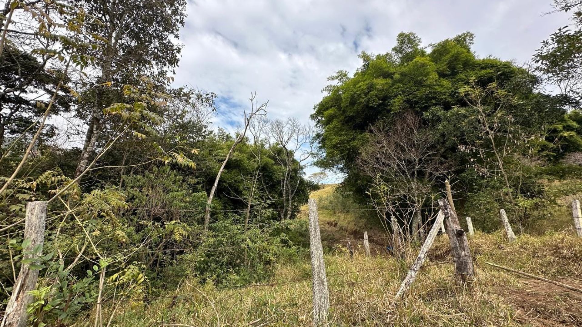 terreno-rural-de-100-000m²-corrego-do-bom-jesus-mg-serra-da-mantiqueira (2)