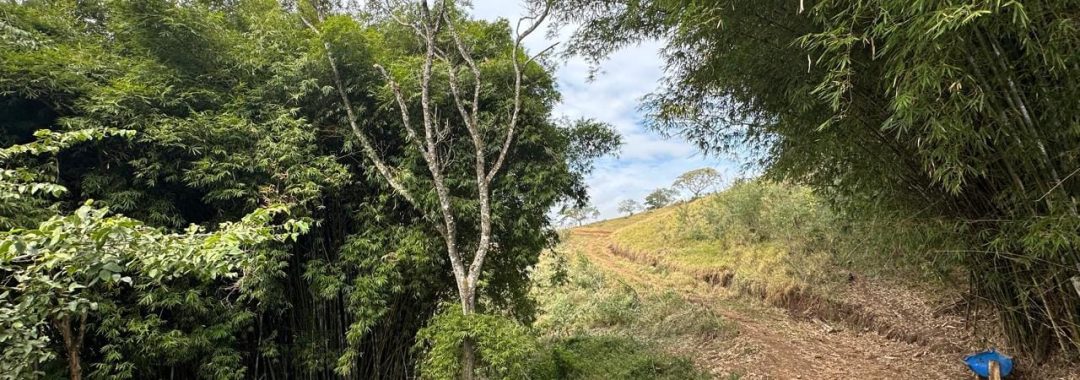 terreno-rural-de-100-000m²-corrego-do-bom-jesus-mg-serra-da-mantiqueira (6)