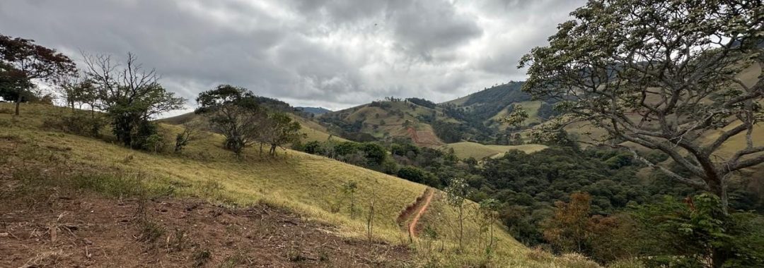 terreno-rural-de-100-000m²-corrego-do-bom-jesus-mg-serra-da-mantiqueira (7)