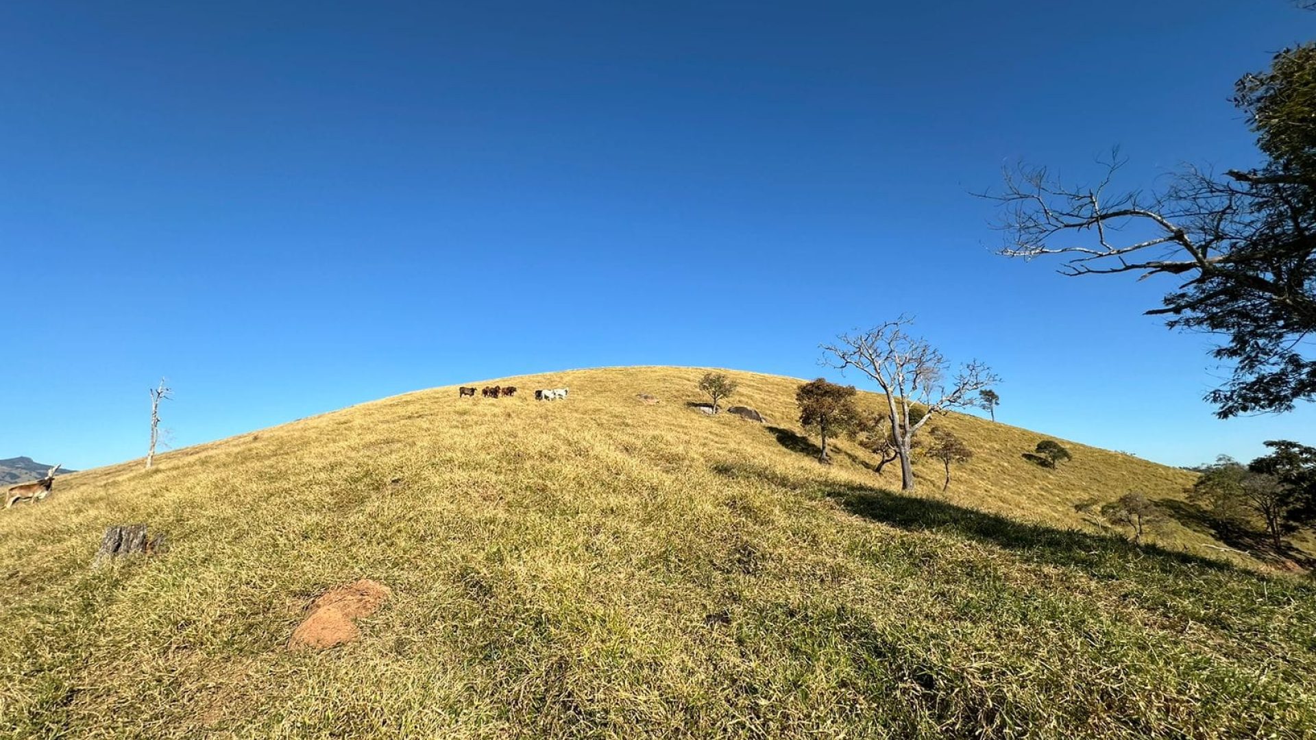 terreno-rural-de-130-000m²-com-uma-das-vistas-mais-belas-do-sul-de-mg (24)