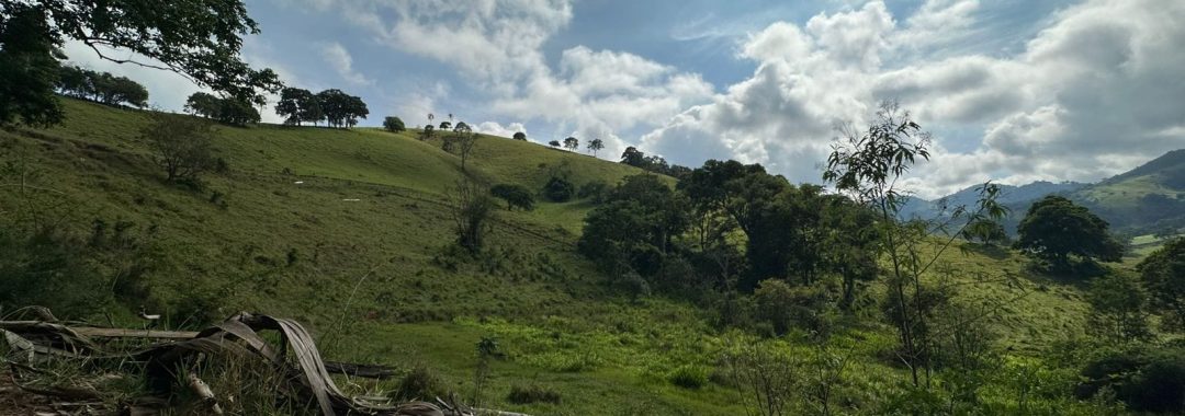 terreno-rural-de-165-alqueires-em-cambui-mg-a-9-km-da-cidade-com-acesso-privativo (1)