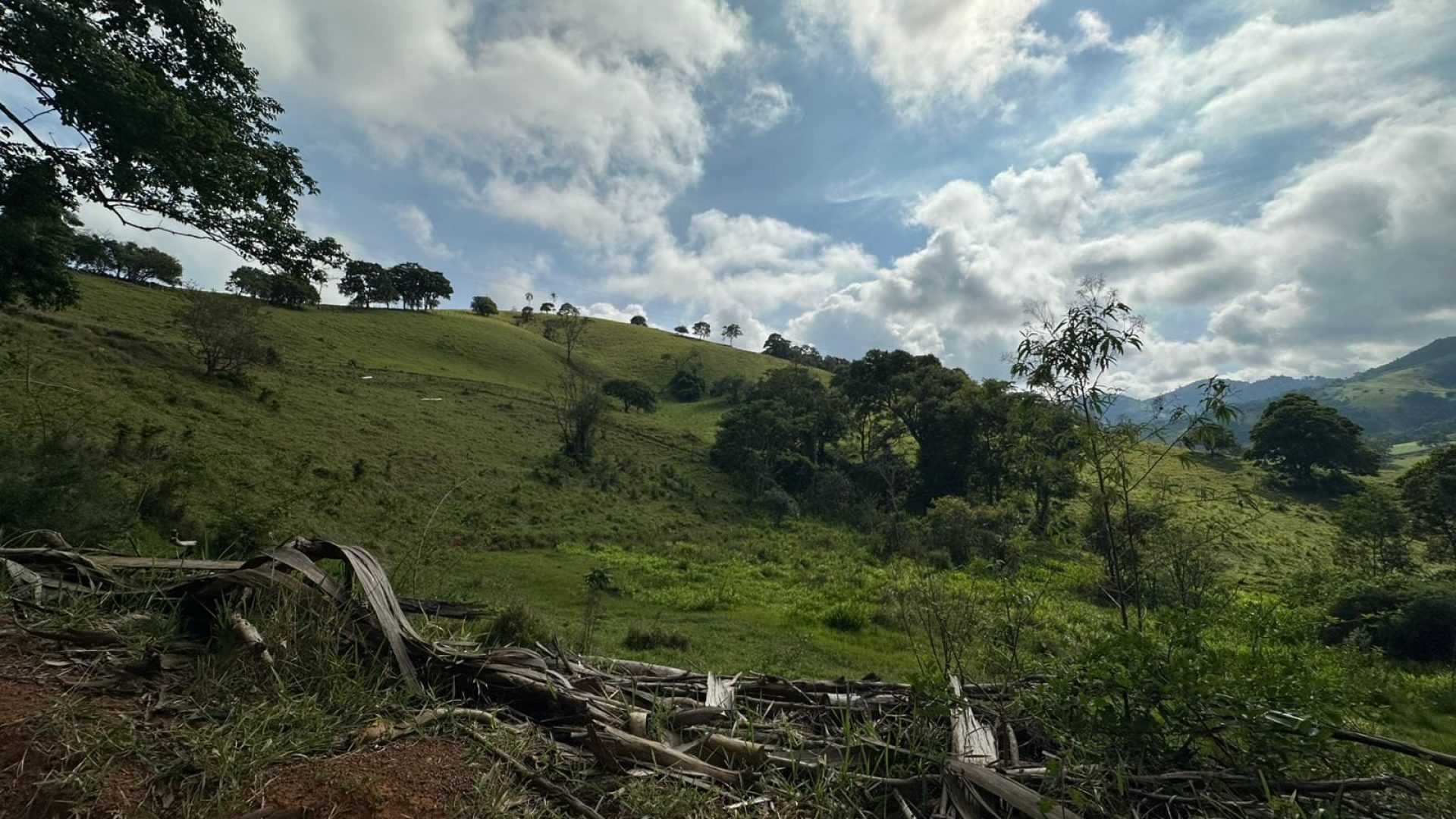terreno-rural-de-165-alqueires-em-cambui-mg-a-9-km-da-cidade-com-acesso-privativo (1)