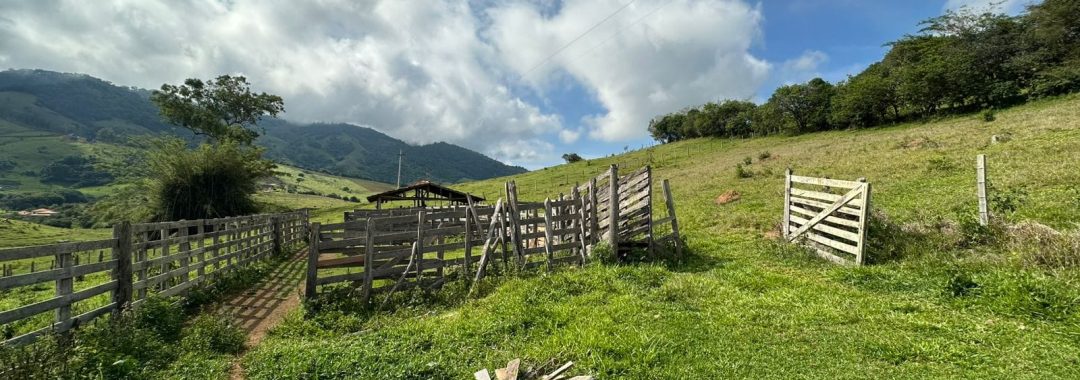 terreno-rural-de-165-alqueires-em-cambui-mg-a-9-km-da-cidade-com-acesso-privativo (10)