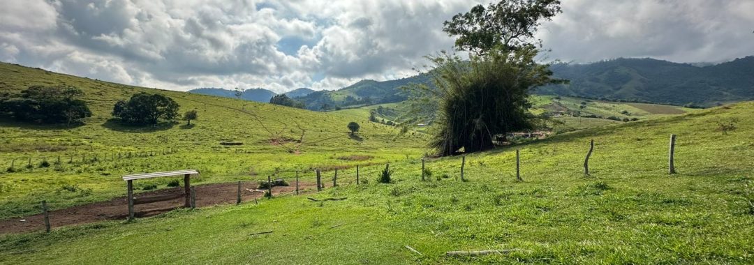 terreno-rural-de-165-alqueires-em-cambui-mg-a-9-km-da-cidade-com-acesso-privativo (3)