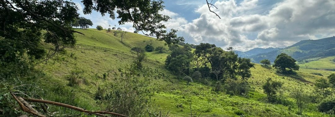 terreno-rural-de-165-alqueires-em-cambui-mg-a-9-km-da-cidade-com-acesso-privativo (4)