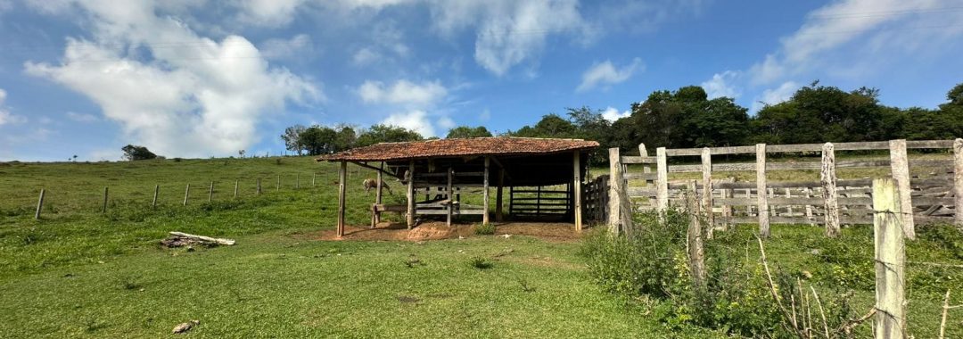 terreno-rural-de-165-alqueires-em-cambui-mg-a-9-km-da-cidade-com-acesso-privativo (5)