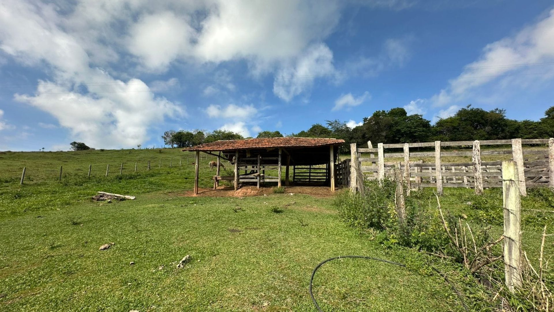 terreno-rural-de-165-alqueires-em-cambui-mg-a-9-km-da-cidade-com-acesso-privativo (5)