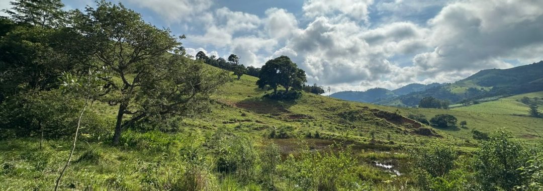 terreno-rural-de-165-alqueires-em-cambui-mg-a-9-km-da-cidade-com-acesso-privativo (6)