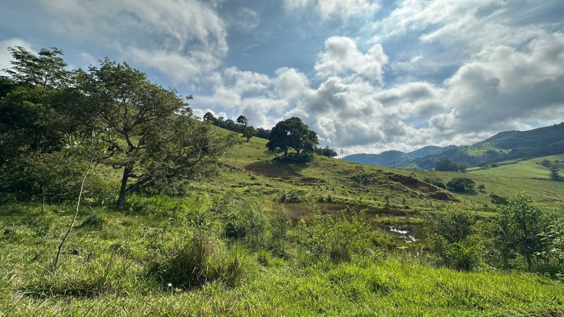 terreno-rural-de-165-alqueires-em-cambui-mg-a-9-km-da-cidade-com-acesso-privativo (6)