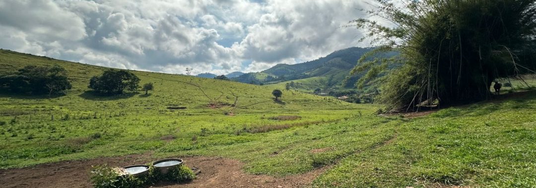 terreno-rural-de-165-alqueires-em-cambui-mg-a-9-km-da-cidade-com-acesso-privativo (7)