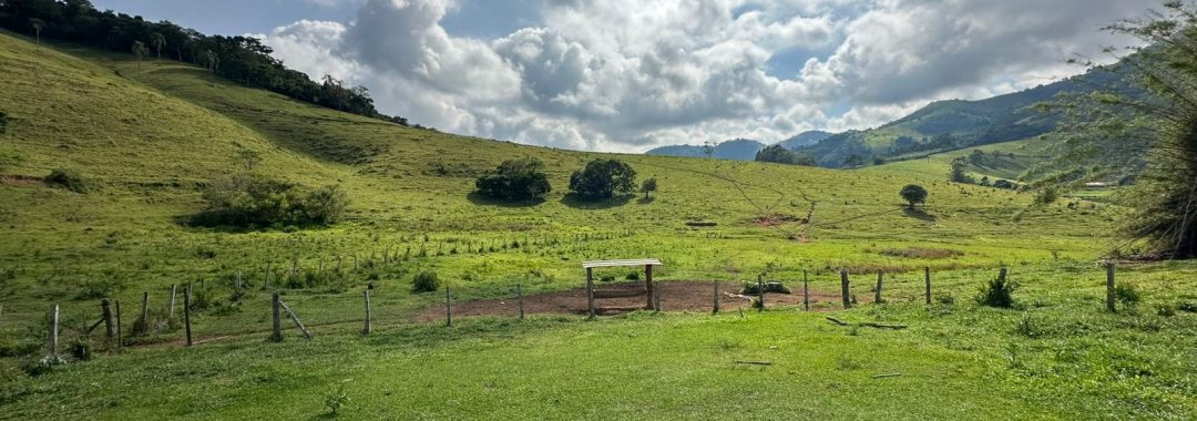 terreno-rural-de-165-alqueires-em-cambui-mg-a-9-km-da-cidade-com-acesso-privativo (9)