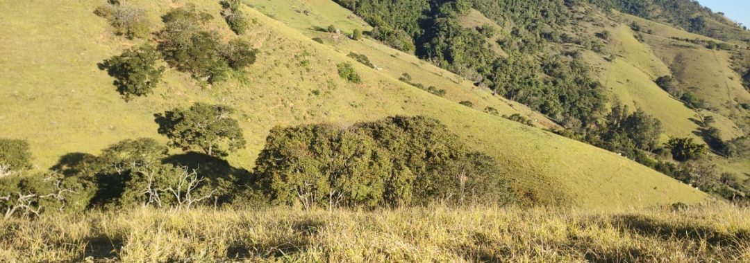 terreno-rural-de-20-000-m2-no-corrego-do-bom-jesus-mg (1)