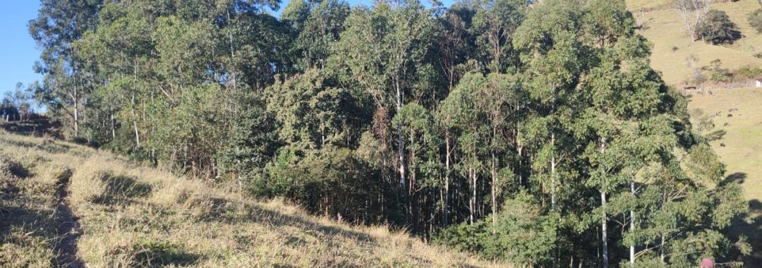 terreno-rural-de-20-000-m2-no-corrego-do-bom-jesus-mg (5)