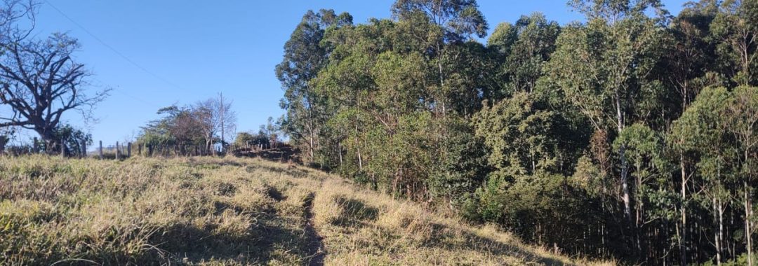 terreno-rural-de-20-000-m2-no-corrego-do-bom-jesus-mg (6)