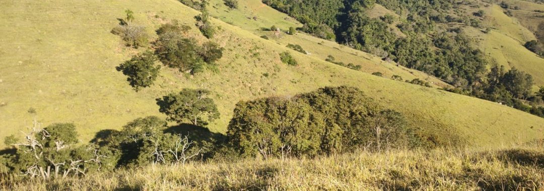 terreno-rural-de-20-000-m2-no-corrego-do-bom-jesus-mg (9)