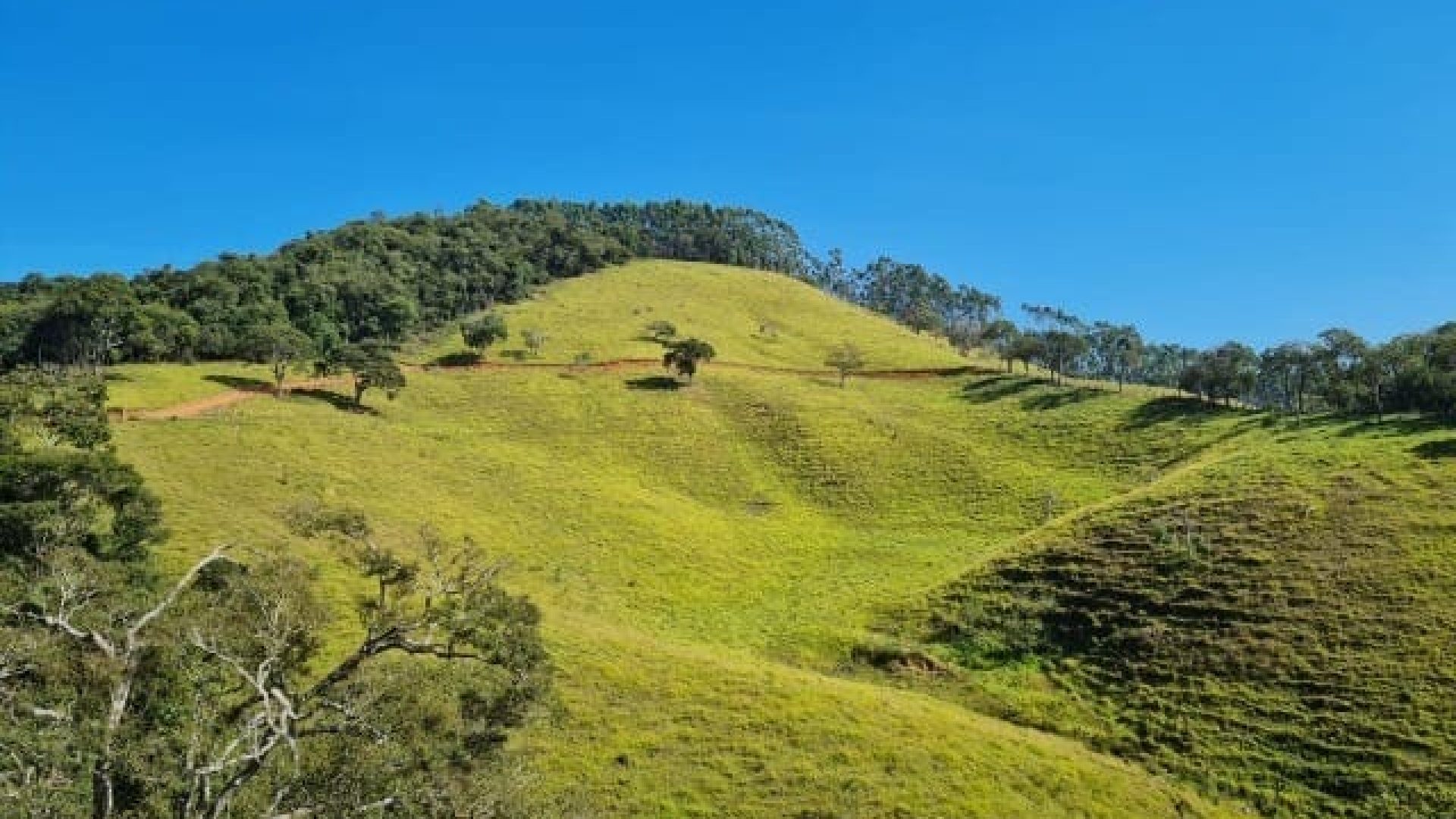 terreno-rural-de-20-000-m²-a-venda-cambui-sul-de-mg (1)