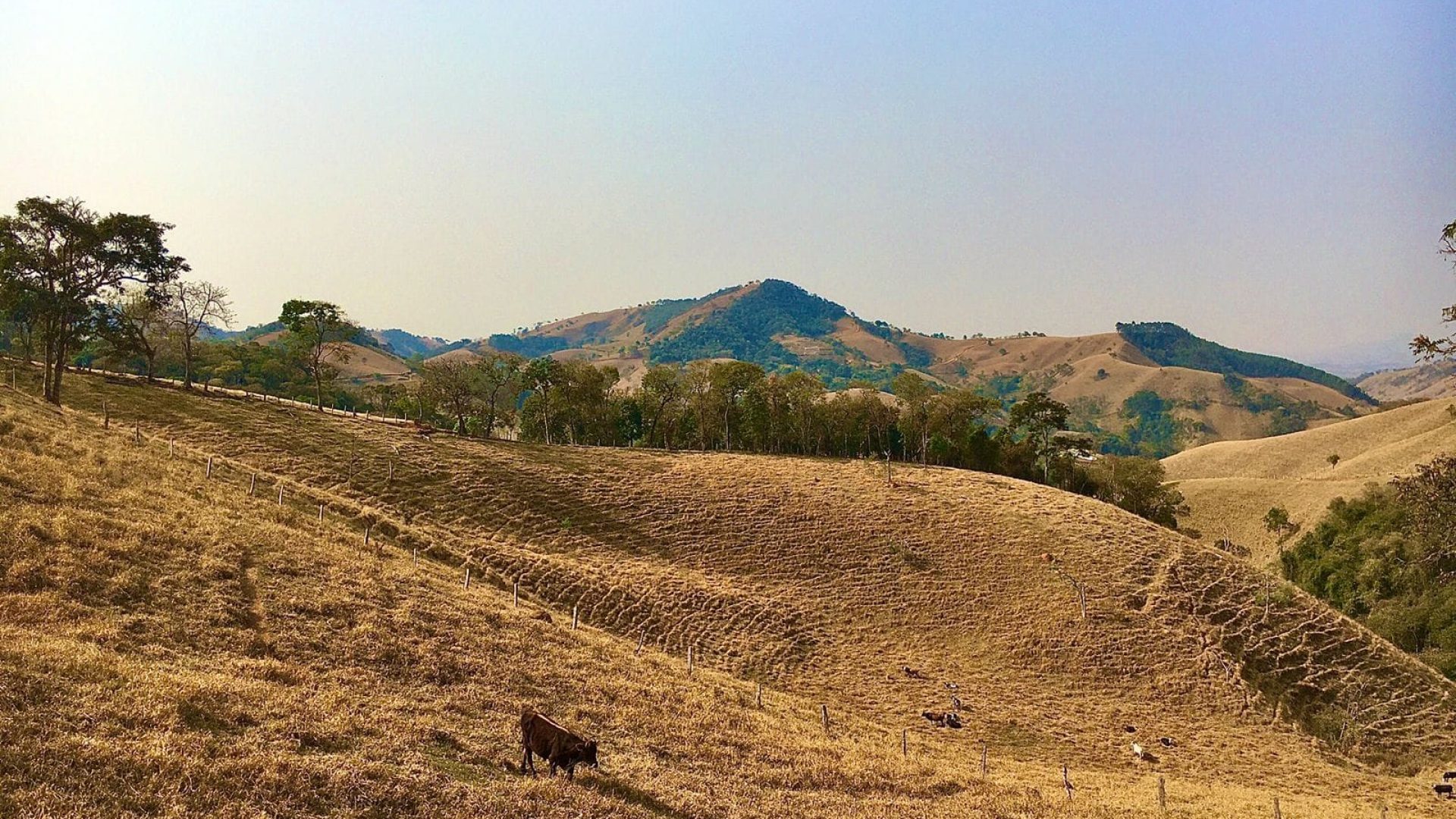 terreno-rural-de-20-000-m²-a-venda-cambui-sul-de-mg (9)