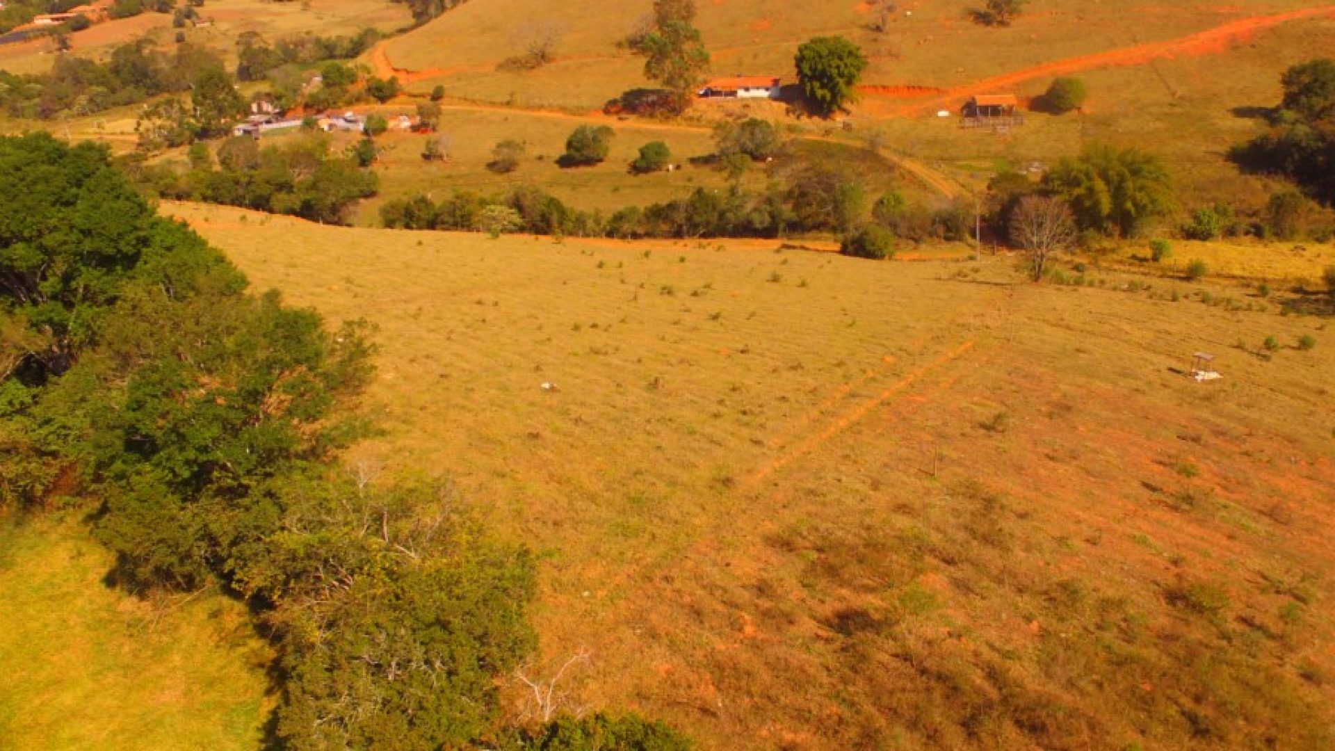 terreno-rural-de-20-000m²-a-venda-na-cidade-de-cambui (7)