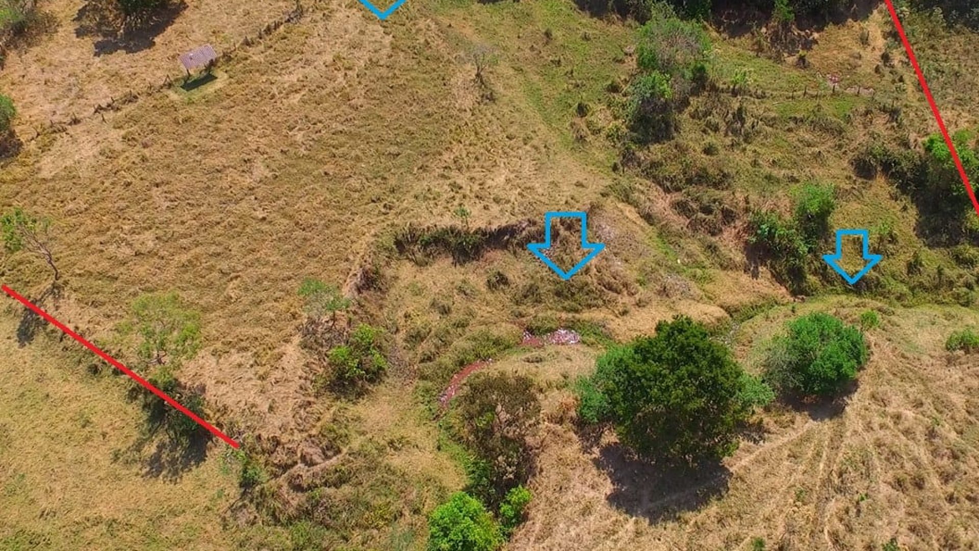 terreno rural de 20.000m² com privacidade e ótima localização em cambui no sul de minas (1)