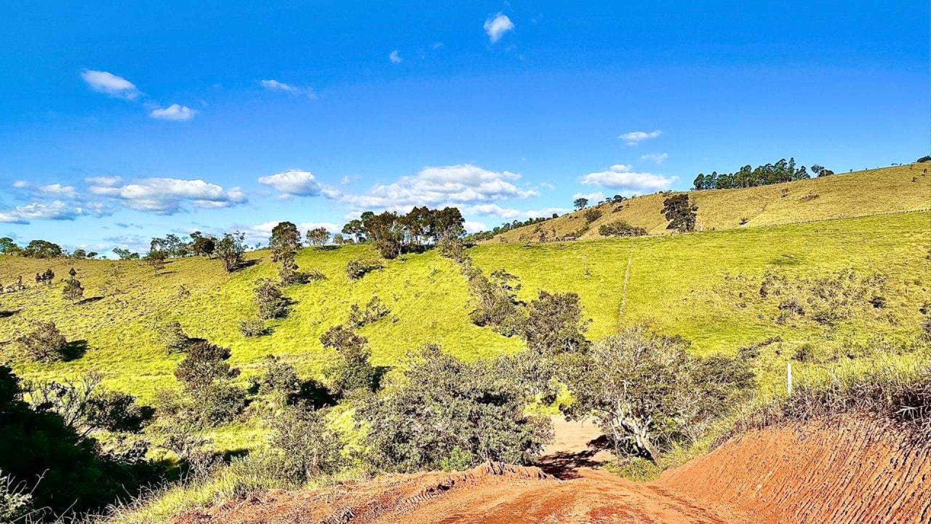 terreno rural de 20.000m² com privacidade e ótima localização em cambui no sul de minas (14)
