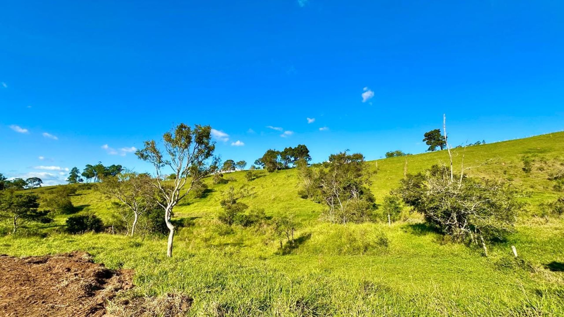 terreno rural de 20.000m² com privacidade e ótima localização em cambui no sul de minas (17)