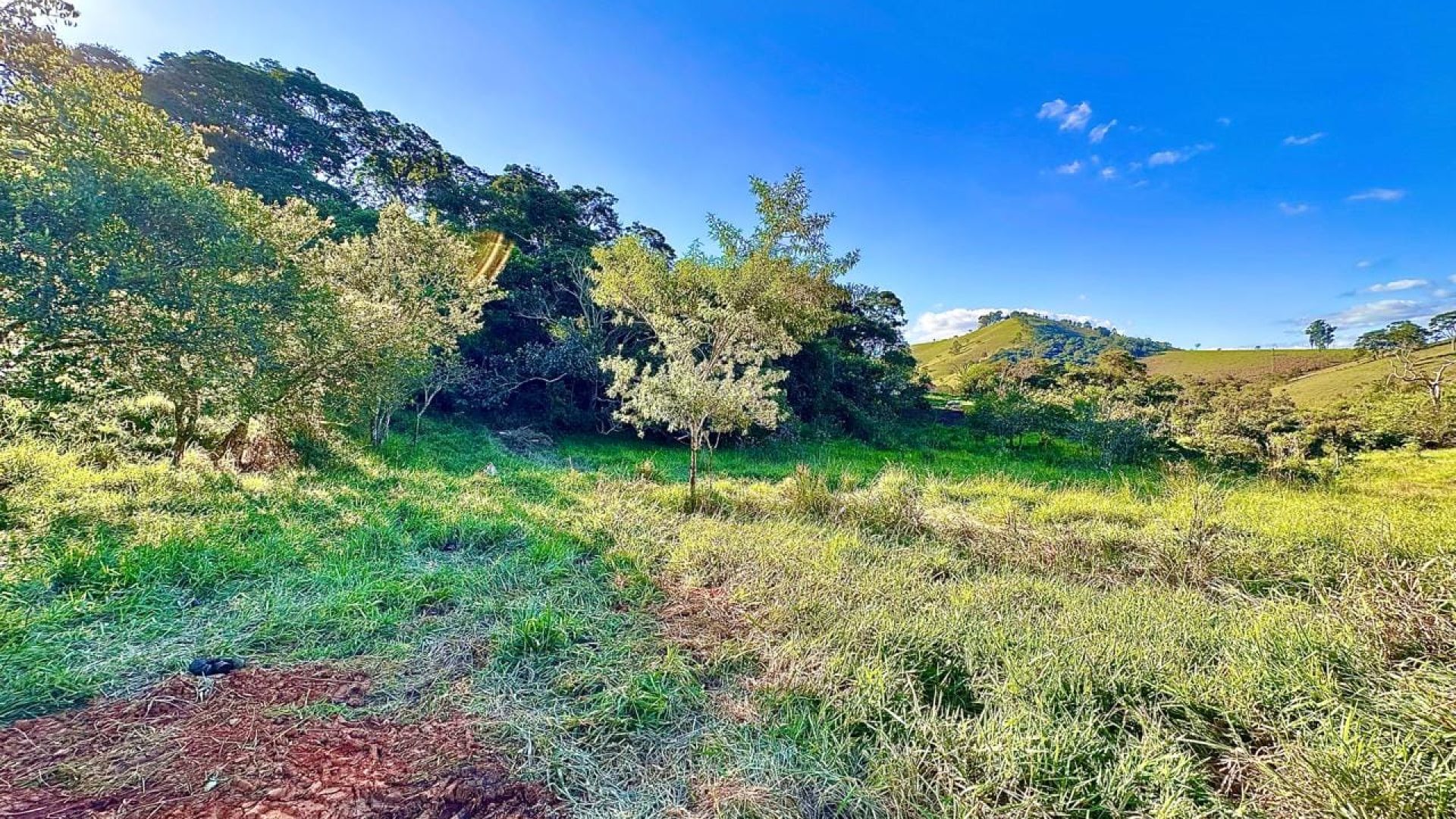 terreno rural de 20.000m² com privacidade e ótima localização em cambui no sul de minas (20)