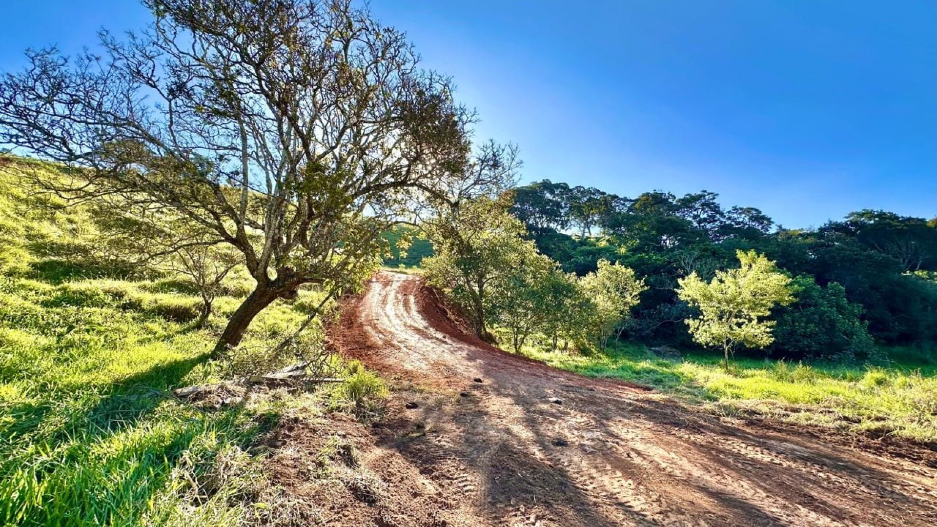 terreno rural de 20.000m² com privacidade e ótima localização em cambui no sul de minas (25)