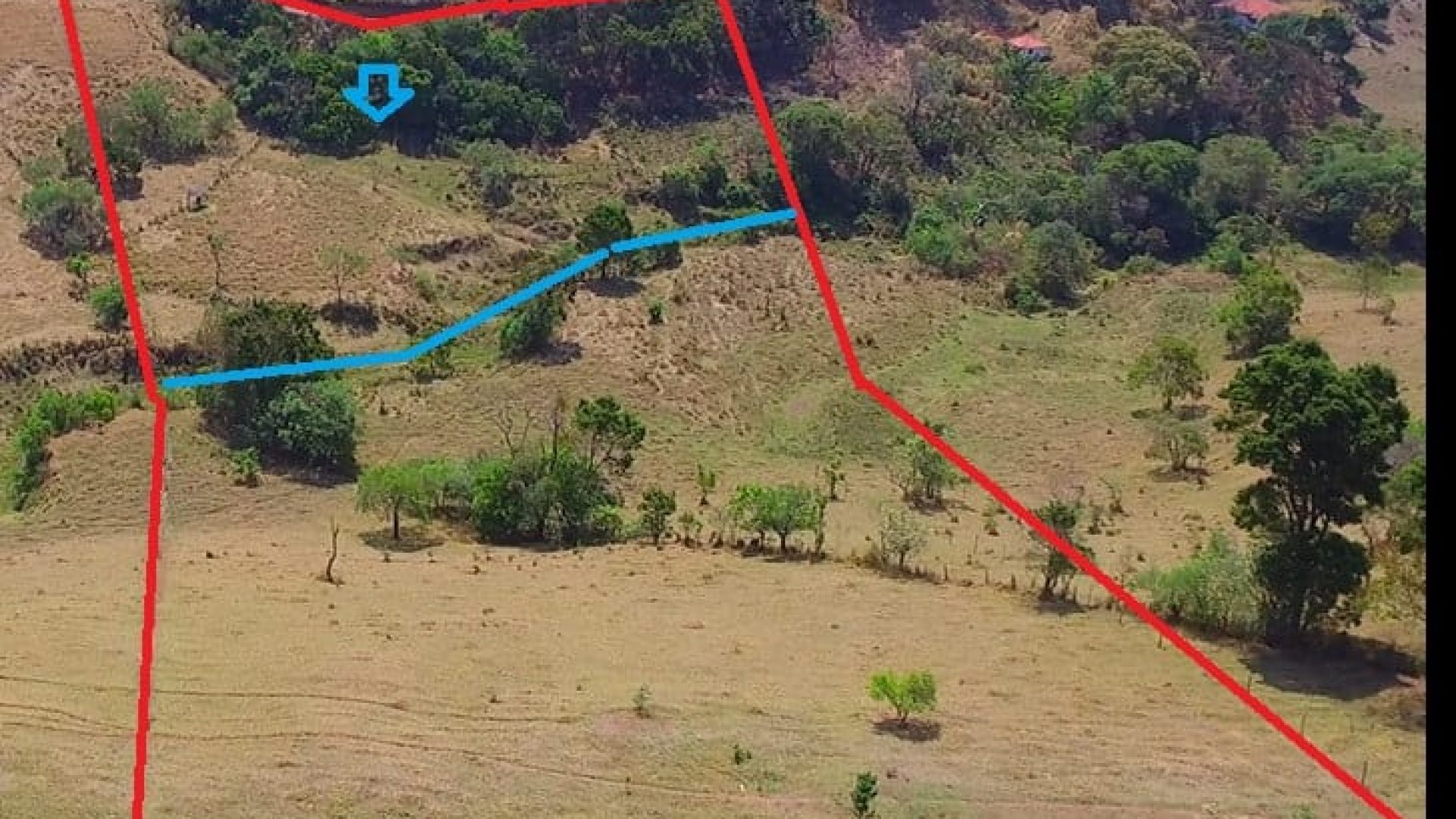 terreno rural de 20.000m² com privacidade e ótima localização em cambui no sul de minas (3)