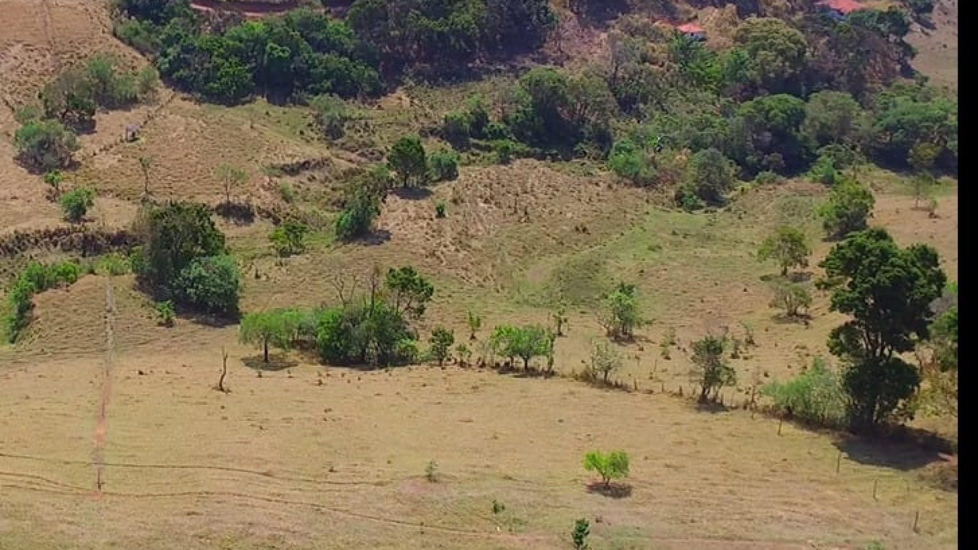 terreno rural de 20.000m² com privacidade e ótima localização em cambui no sul de minas (4)
