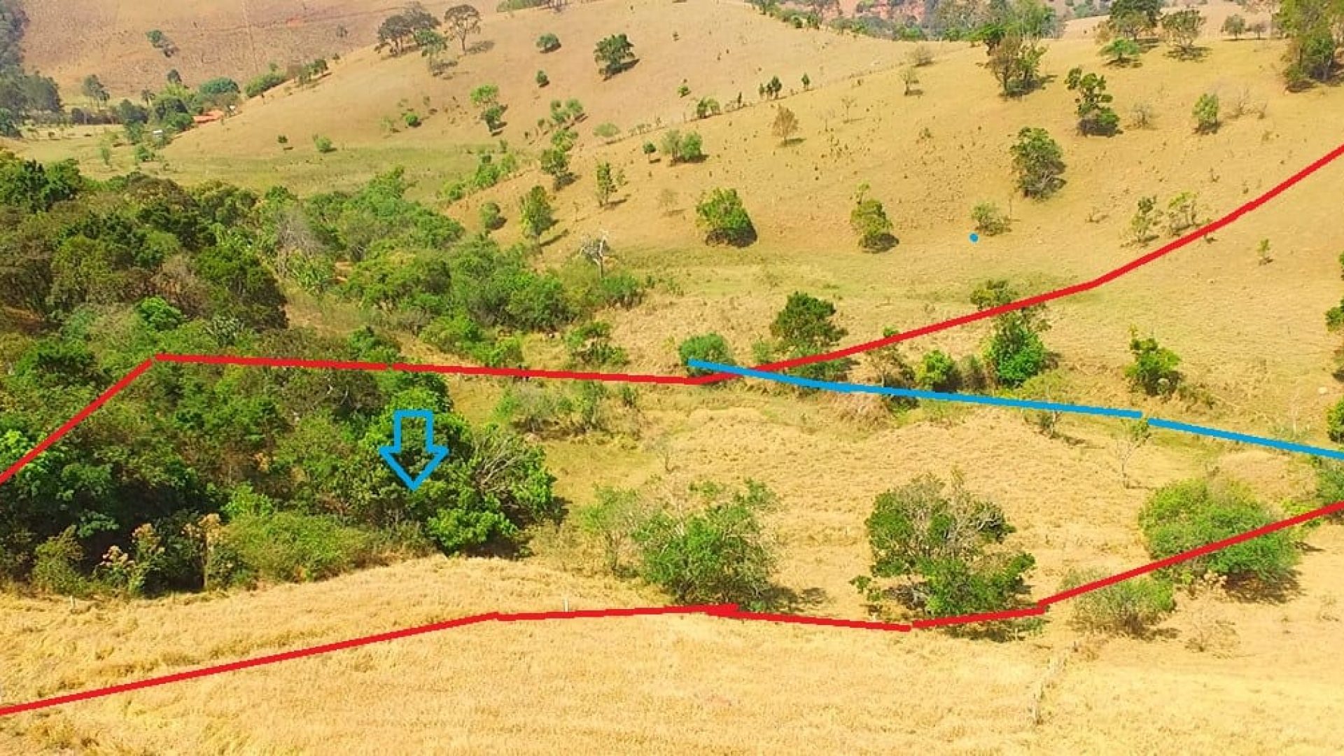 terreno rural de 20.000m² com privacidade e ótima localização em cambui no sul de minas (5)