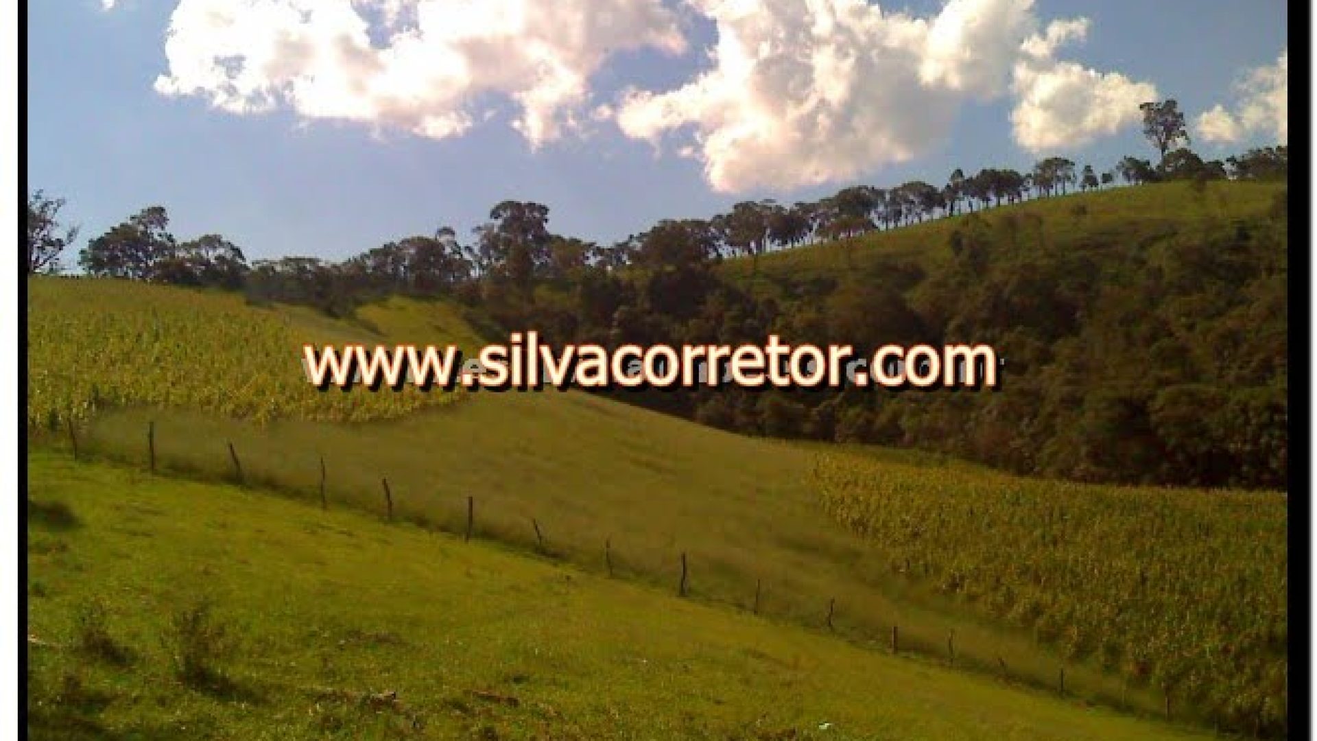 terreno-rural-de-27-000-m-em-cambui-mg-com-bosque-de-araucarias-4