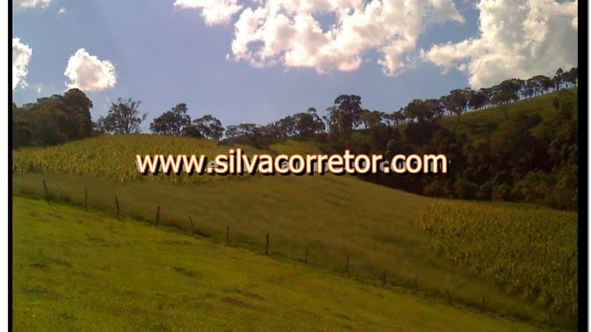 terreno-rural-de-27-000-m-em-cambui-mg-com-bosque-de-araucarias-5