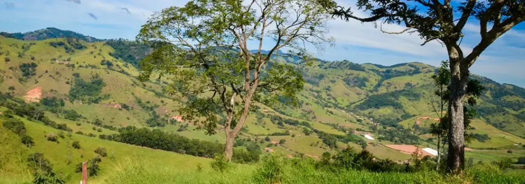 terreno-rural-de-34-900-m²-no-alto-da-mantiqueira (10)