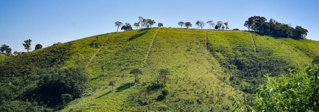 terreno-rural-de-34-900-m²-no-alto-da-mantiqueira (2)