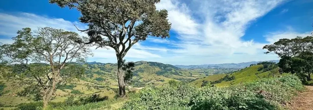 terreno-rural-de-34-900-m²-no-alto-da-mantiqueira (2)