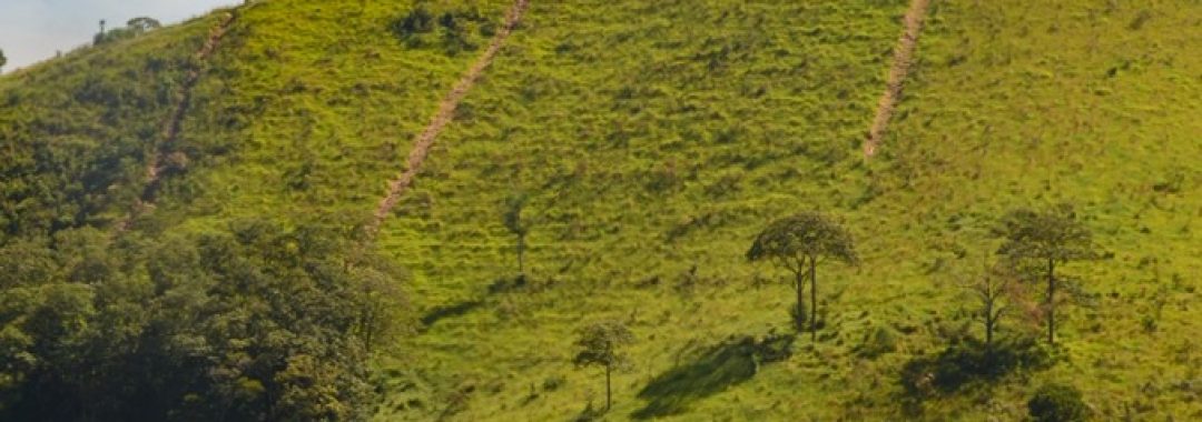 terreno-rural-de-34-900-m²-no-alto-da-mantiqueira (3)