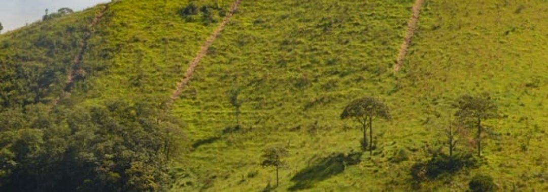 terreno-rural-de-34-900-m²-no-alto-da-mantiqueira (3)