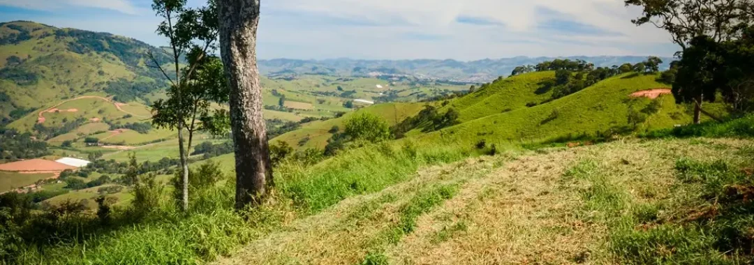 terreno-rural-de-34-900-m²-no-alto-da-mantiqueira (8)