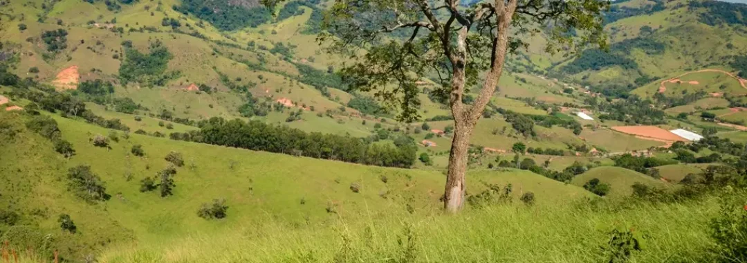 terreno-rural-de-34-900-m²-no-alto-da-mantiqueira (9)