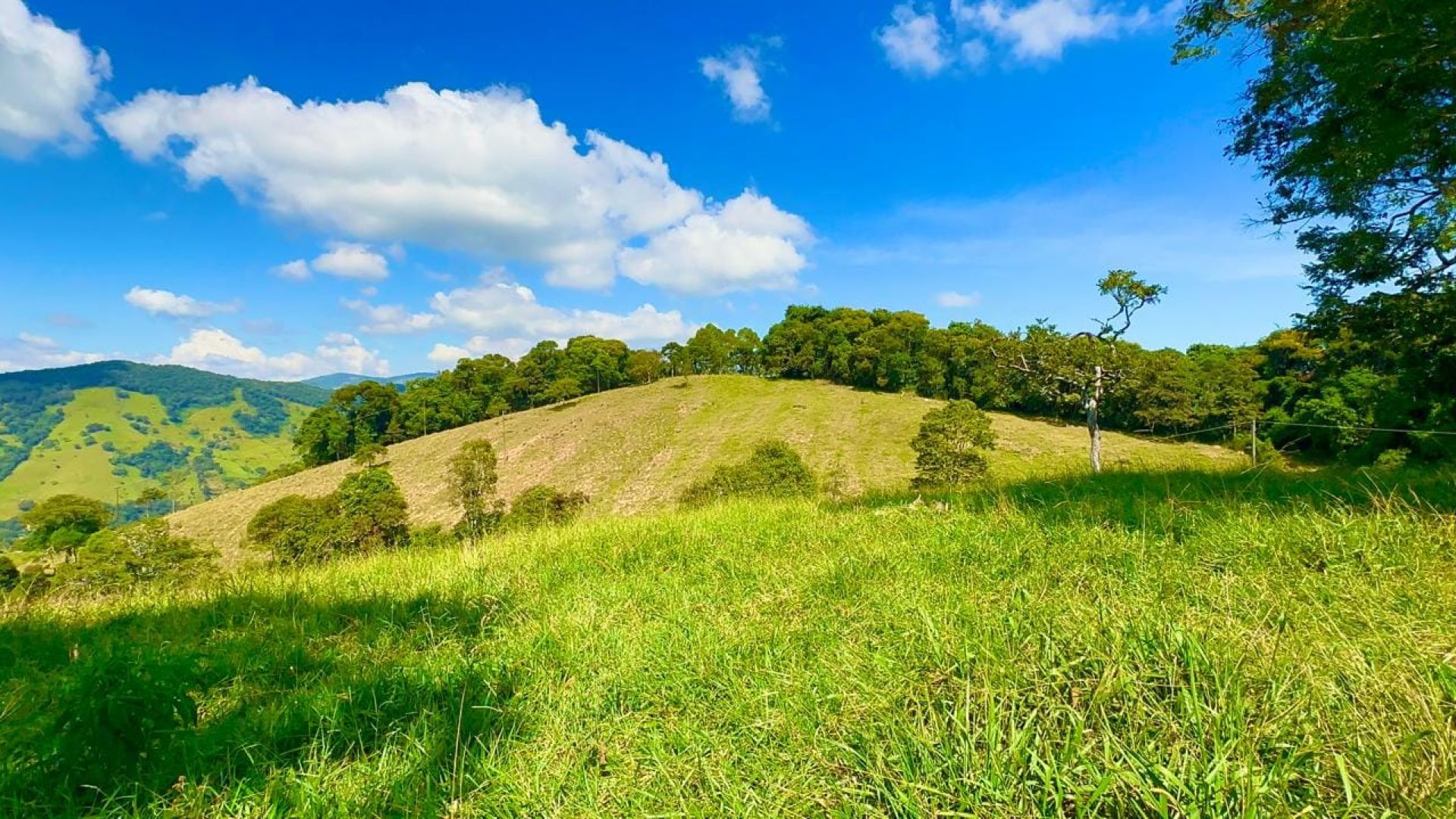 terreno-rural-de-72-000-m²-a-venda-na-regiao-da-cidade-de-corrego-do-bom-jesus-mg (10)